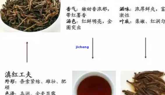 最早出口的红茶-最早出口的红茶是什么茶