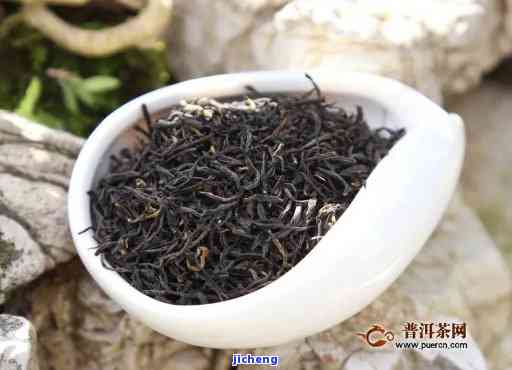 一芽红茶价格全解析：最新行情、走势及多少钱一斤