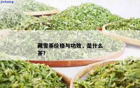 斑马藏雪茶的功效与作用全面解析