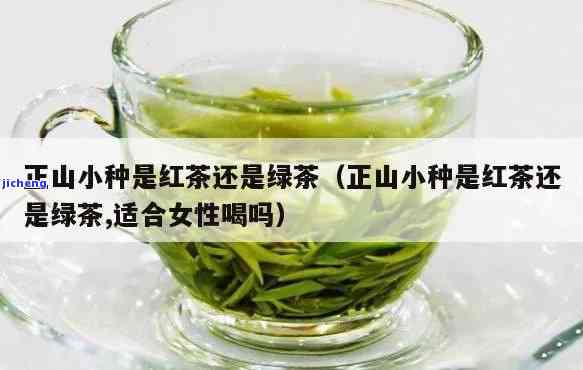 正宗小山：红茶还是绿茶？求解！