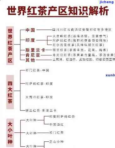 四川哪里产的红茶？寻找口感的红茶产地！