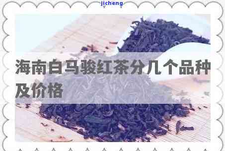 海南白马骏红茶价格全解析：查询、尊红等信息一网打尽