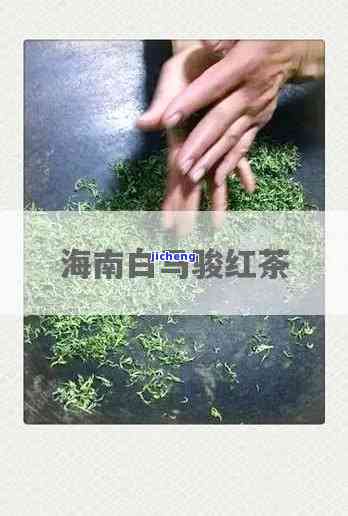 海南白马骏红茶怎样，探秘白马骏红茶：海南的特别饮品