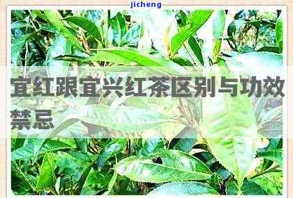 宜红和宜兴红茶-宜红和宜兴红茶的区别