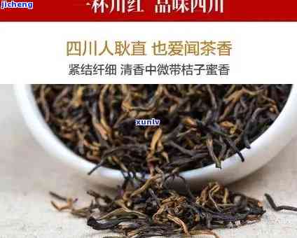 比较川红茶与中国的区别，哪一种更好？