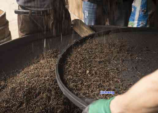 炒茶是否属于红茶种类？详细解析