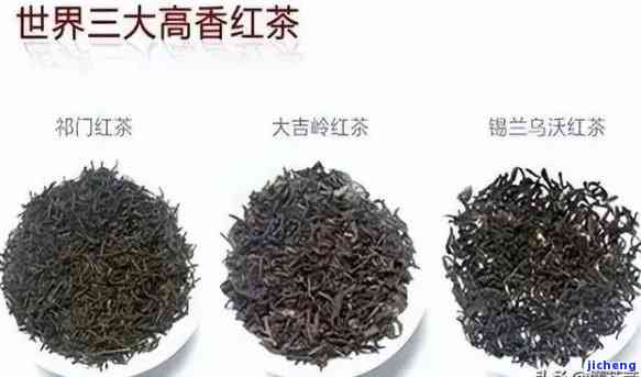 红玉18号：什么茶？种类与品种全解析