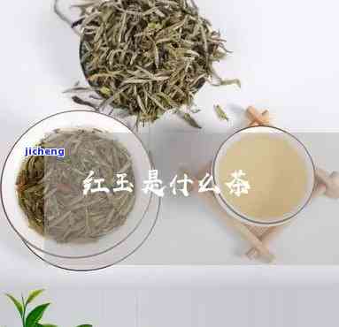 红玉茶属于什么茶？详解其种类与分类