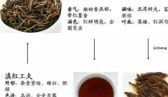 我国最早的红茶-我国最早的红茶生产从福建崇安的