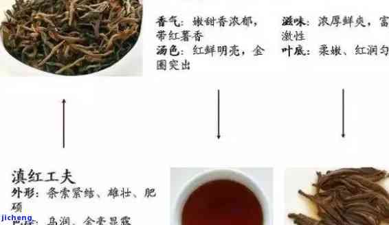 最早出现的红茶-最早出现的红茶是什么茶