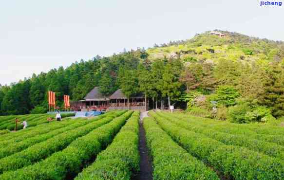 宜兴红茶生态茶园位置及地址查询