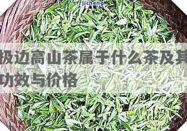 极边高山茶红茶价格是多少？是什么茶品种？每斤售价怎样？