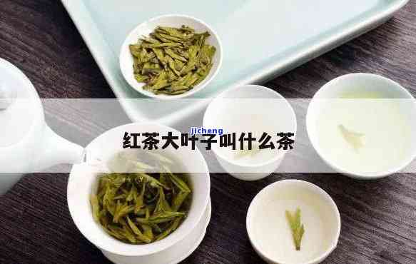 叶子很大的红茶-叶子很大的红茶是什么茶