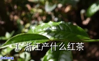 浙江哪里产红茶，浙江红茶产地揭秘