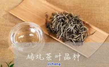 千岛湖鸠坑茶：品种、价格与红茶介绍