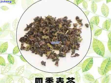 四春茶和红茶-四春茶和红茶哪个好喝?