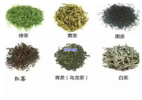 乌山茶：红茶？绿茶？还是白茶？