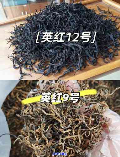 英红12号红茶-英红12号红茶有多少等级