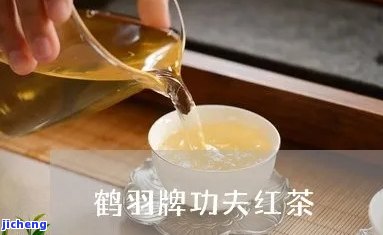 鹤羽牌功夫红茶好喝吗？值不值得购买？