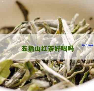 五指山小蝉红茶好喝吗？综合评价与口感分享