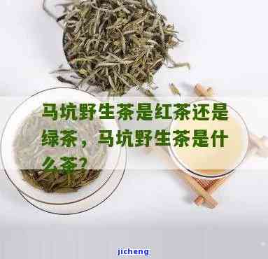 马茶是什么红茶-马茶是什么红茶做的