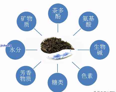 爽度高的茶：成分揭秘与品种推荐