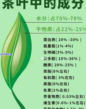 爽度高的茶：成分揭秘与品种推荐