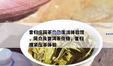 昔归园简介：探索茶文化生活体验与企业领导力