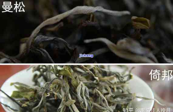 几月份买曼松茶叶？求推荐