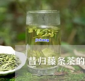 昔归藤条属于什么茶，探秘茶叶世界：了解昔归藤条的归属种类