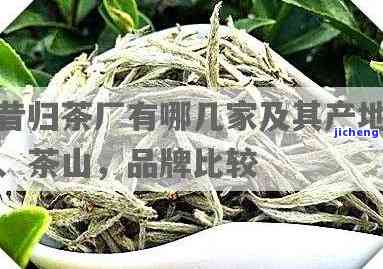 昔归哪个茶厂好，寻找优质昔归茶？看这里！解析各大茶厂的昔归茶叶优劣