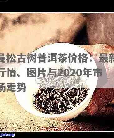 2020曼松古树茶多少一公斤，2020年曼松古树茶价格：一公斤多少钱？