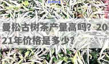 深山曼松古树茶-2021曼松古树茶的价格