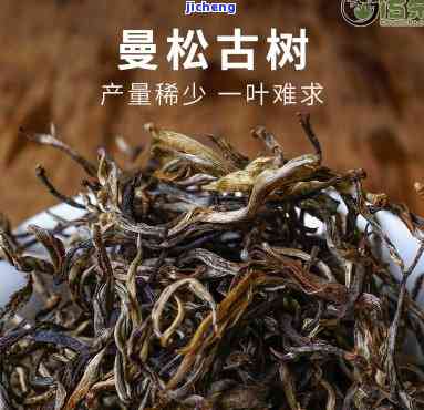 大叶曼松古树茶-曼松古树茶是大叶种还是小叶种