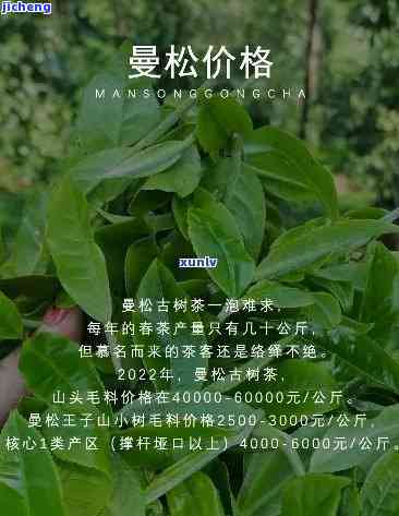 云南的曼松贡茶-云南的曼松贡茶是什么茶