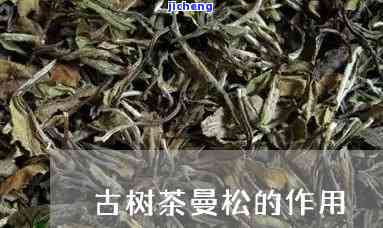 曼松古树茶简介-曼松古树茶简介及特点