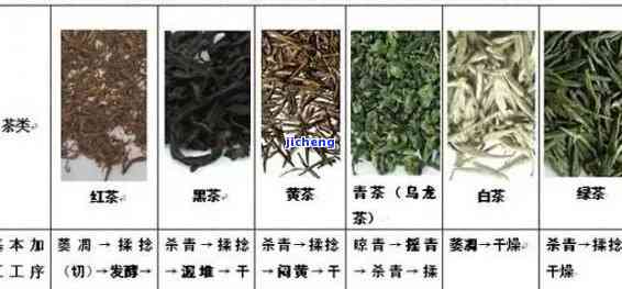 不发酵,半发酵,全发酵的茶有哪些，深入熟悉茶叶：不发酵、半发酵和全发酵茶的区别与种类