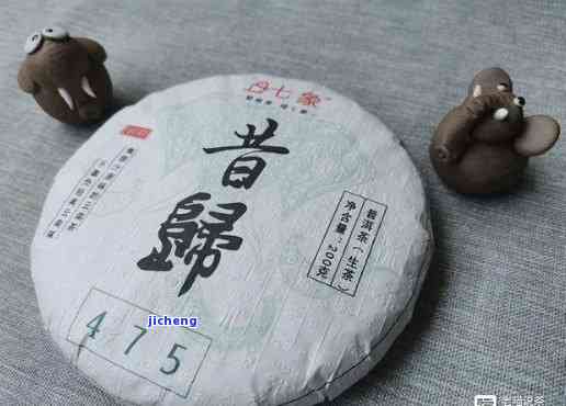 昔归是什么意思，揭秘茶叶新品——昔归的含义与特点