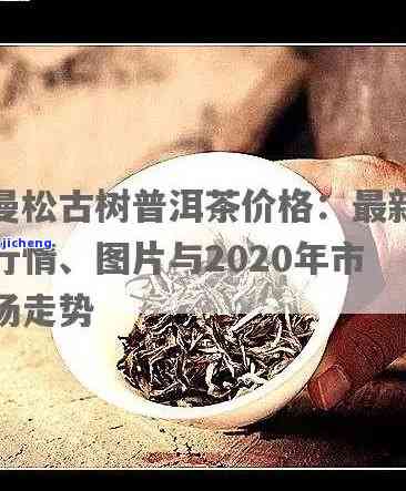 2020年曼松古树茶价格：每公斤多少钱？古茶树数量有多少？