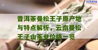 曼松王子山普洱茶特点及口感：揭秘高档次茶叶的魅力