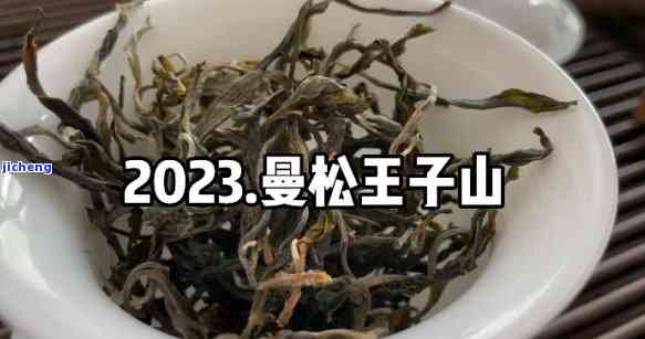 曼松王子山普洱茶特点及口感：揭秘高档次茶叶的魅力