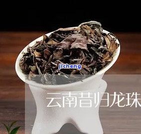 昔归龙珠生茶介绍：品种、价格与特点