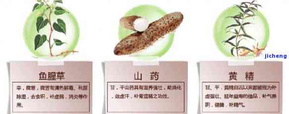 安茶有什么功效和作用，探秘安茶：揭示其神奇的功效与作用