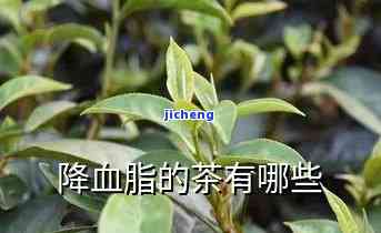 降血脂茶有哪些，揭秘降血脂茶种类：哪些茶叶可以帮助减少血脂？