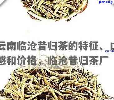 临沧的昔归茶特点及价格介绍