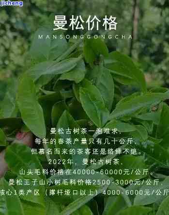 喝曼松茶的好处-喝曼松茶的好处和坏处