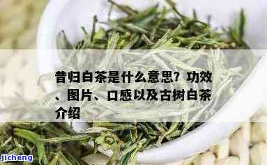 昔归可爱的图片-昔归茶是什么意思