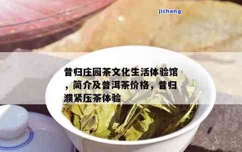 昔归园：探索昔归紧压茶的世界与文化生活体验