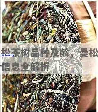 小曼松茶08年-曼松小树茶2018年价格