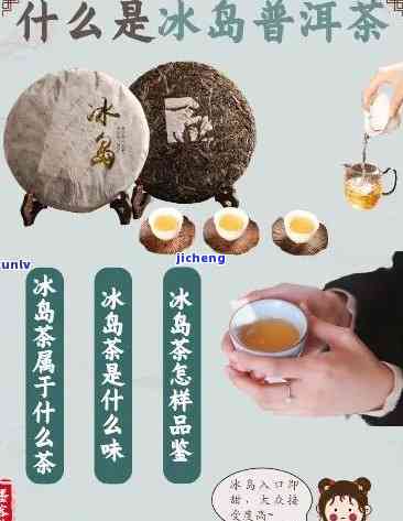 大雪山普洱茶与冰岛普洱茶：有何区别？